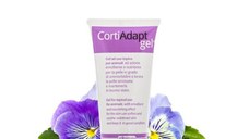 CORTI ADAPT GEL 100 ML