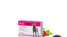 DOGOTEKA DOGO MULTI ADAPT 60 tab - câini și pisici