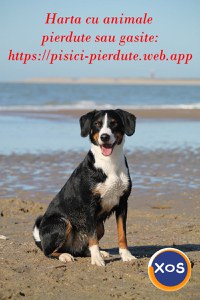 Harta nationala cu animalute pierdute sau gasite - 1