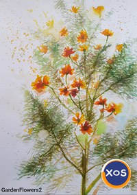 Picturi cu flori la OFERTĂ - 3