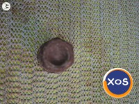 Piulite Chevrolet Captiva ( 2006- ) - 2