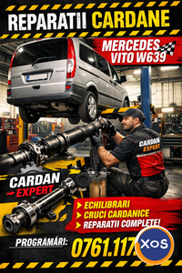 Reparatie cardan Vito - 1