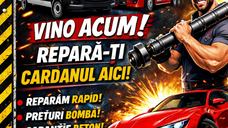 Reparatii cardane | Echilibrari cardane | Vanzari cardane | - Tel NONS