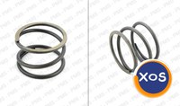 ZF Spring Types, Oem Parts - 6