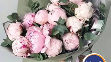 Descoperă colecția de vară OkFlora - flori spectaculoase