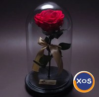 OkFlora - flori, dulciuri și cadouri livrate cu eleganță - 1
