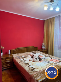 3 Camere etal 3 pet friendly Colentina Rascoala 1907 Motodrom Fundeni - 5