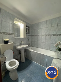 3 Camere etal 3 pet friendly Colentina Rascoala 1907 Motodrom Fundeni - 7