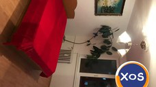 camera intrare separata Dr taberei Auchan