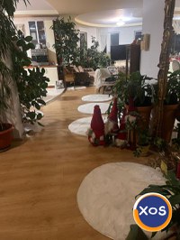 Vila exclusivista cu gradina de închiriat încartier Borhanci - 5