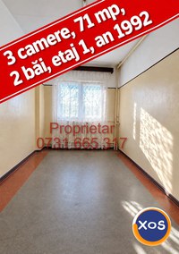 3 camere 2 bai 1992 clasa A etaj 1 zona Lacul Tei - 7