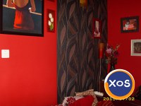 Apartament cu o camera Floresti,jud.Cluj - 4