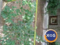 BOXĂ DEMISOL, SECTOR 5, BUCUREȘTI - 8