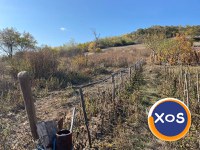 2 case și teren 2800 mp,Salaj,fântână forata - 19