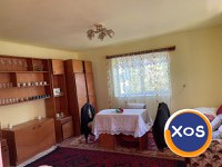 2 case și teren 2800 mp,Salaj,fântână forata - 14