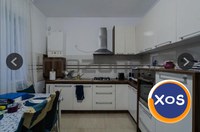 Casa- Chiajna- Padure - 6