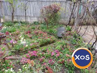 Casa din 3 camere cu curte Giulesti sector 1 - 3