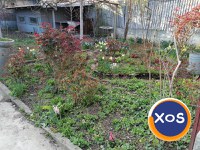 Casa din 3 camere cu curte Giulesti sector 1 - 4