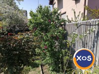 Casa din 3 camere cu curte Giulesti sector 1 - 7