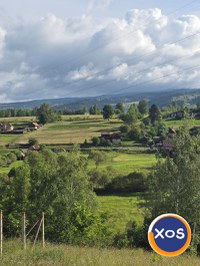 Gospodarie de vânzare - 2