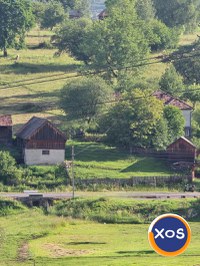 Gospodarie de vânzare - 5
