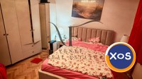 Oportunitate 2 Case 985 mp 7 camere Traian Pache Protopopescu - 5