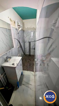 Oportunitate 2 Case 985 mp 7 camere Traian Pache Protopopescu - 6