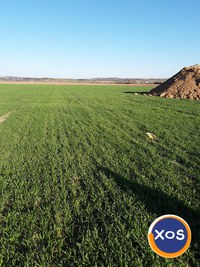 2 parcele intravilan de construcții în Tantareni-Gorj. - 1