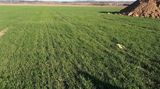 2 parcele intravilan de construcții în Tantareni-Gorj.