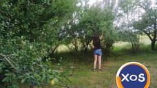 2000 mp pt. casa de vacanta la 5 km de Albota-Pitești,15 eur mp