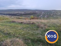 Oportunitate de investiție. - 2