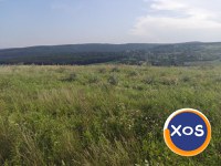 Oportunitate de investiție. - 1