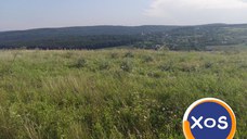 Oportunitate de investiție.