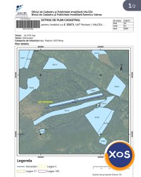 PĂDURE PE MUNTE, PERIȘANI, VÂLCEA - 4