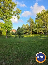 Teren 2500 mp – POTENȚIAL BUSINESS / DEZVOLTARE – Breaza - 15