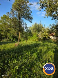 Teren 2500 mp – POTENȚIAL BUSINESS / DEZVOLTARE – Breaza - 4