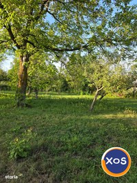 Teren 2500 mp – POTENȚIAL BUSINESS / DEZVOLTARE – Breaza - 3