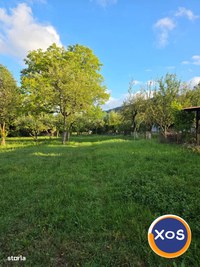 Teren 2500 mp – POTENȚIAL BUSINESS / DEZVOLTARE – Breaza - 15