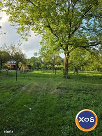 Teren 2500 mp – POTENȚIAL BUSINESS / DEZVOLTARE – Breaza - 10