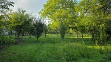 Teren 2500 mp – POTENȚIAL BUSINESS / DEZVOLTARE – Breaza