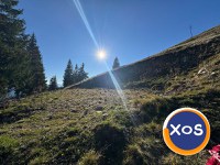 Teren de vânzare – zonă turistică Șanț (Bistrița-Năsăud) - 2