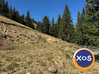 Teren de vânzare – zonă turistică Șanț (Bistrița-Năsăud) - 14