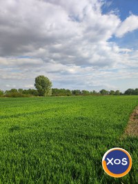 Teren de vanzare in Satu Mare - 3