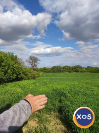 Teren de vanzare in Satu Mare - 4