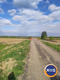 Teren de vanzare in Satu Mare - 6