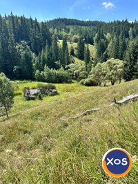 Teren de vanzare  la munte - 4