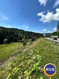 Teren de vanzare  la munte - 3