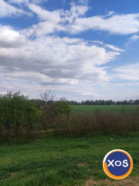 Teren de vanzare - Petea, Satu Mare - 2