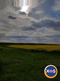 Teren de vanzare - Petea, Satu Mare - 3