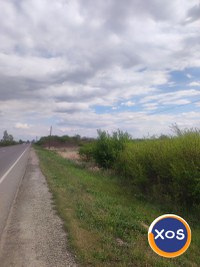 Teren de vanzare - Petea, Satu Mare - 4